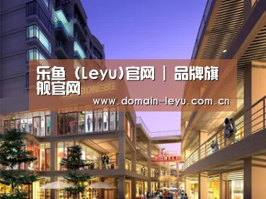 案例展示一(图1)
