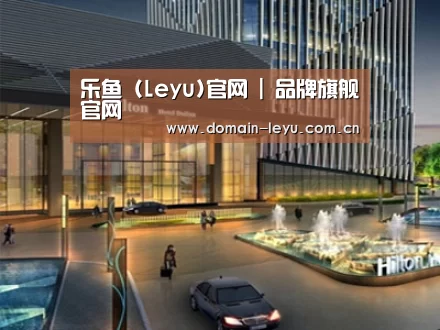 案例展示二(图1)