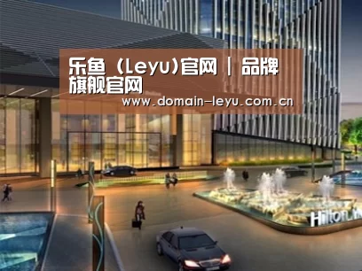 案例展示二