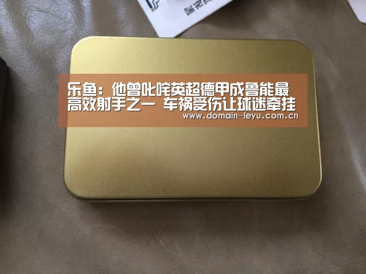 乐鱼:他曾叱咤英超德甲成鲁能最高效射手之一 车祸受伤让球迷牵挂(图2) 乐鱼体育入口