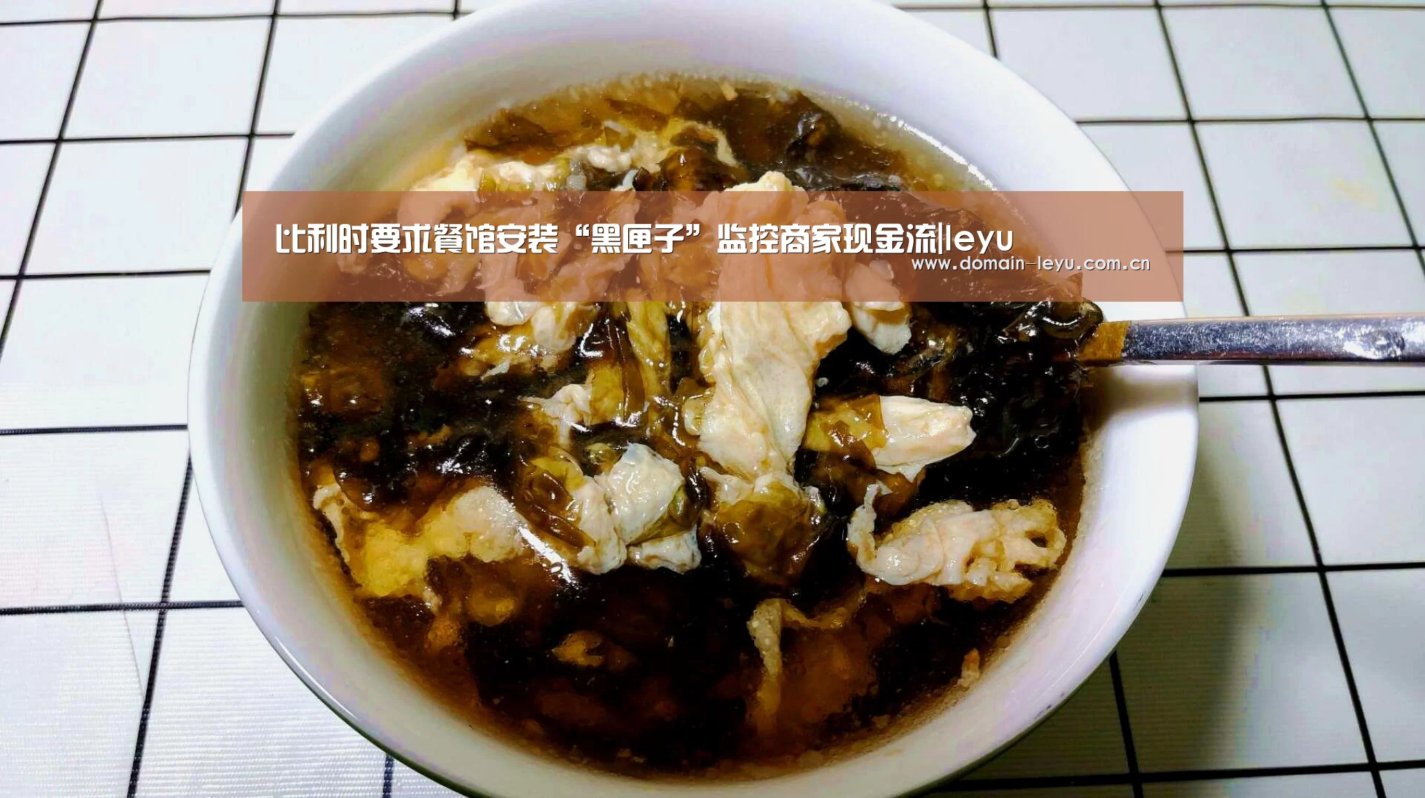 比利时要求餐馆安装“黑匣子”监控商家现金流|leyu(图4)